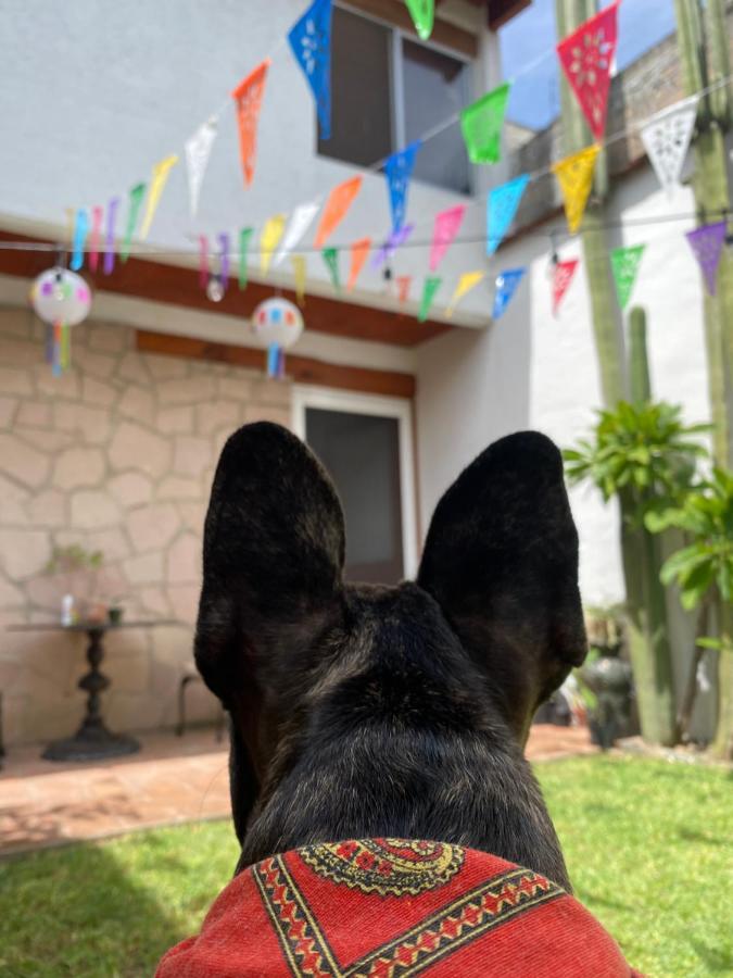 Casa Mayo B&B Oaxaca Экстерьер фото